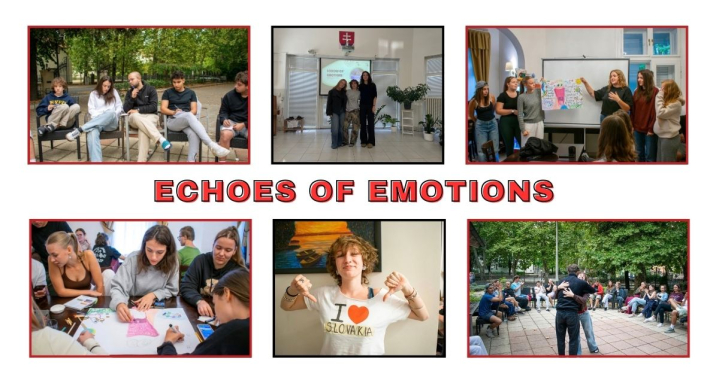 Echoes of Emotions